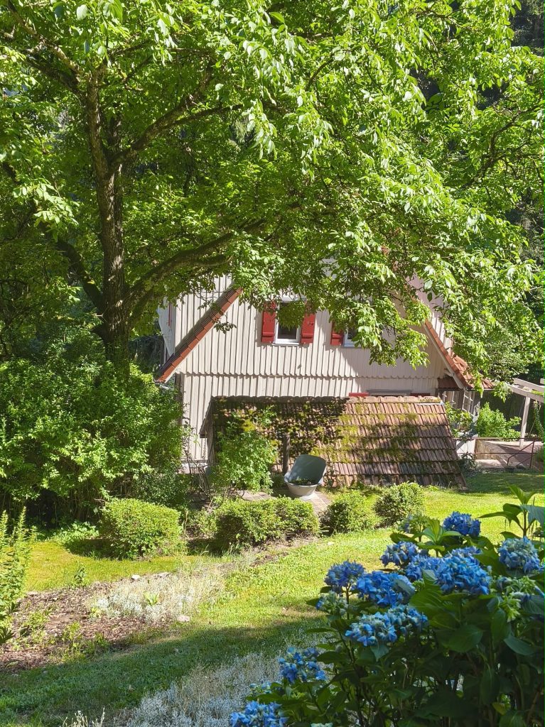 Heilpraxis im Grünen